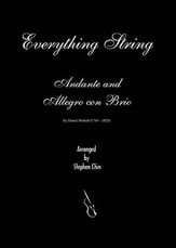 Andante and Allegro Orchestra sheet music cover